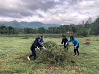 Dọn vệ sinh Khu tâm linh Đài Kính Thiên