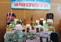 Sản phẩm OCOP của huyện Tây Sơn trưng bày tại triển lãm