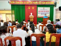 Quang cảnh hội nghị tập huấn