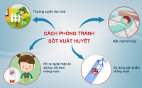 Chủ động phòng chống dịch sốt xuất huyết