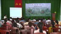 Hội thảo tham vấn Dự án hỗ trợ phục hồi và phát triển nguyên liệu cây dược liệu sa nhân (Amomum longiligulare) dưới tán rừng cho đồng bào dân tộc thiểu số