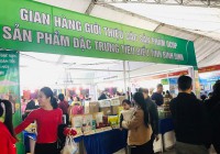 Huyện Tây Sơn có 5 sản phẩm OCOP tham gia Hội chợ Công thương vùng Bắc Trung bộ - Nghệ An năm 2023