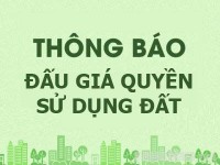 Thông báo đấu giá quyền sử dụng đất ở trên địa bàn huyện Tây Sơn