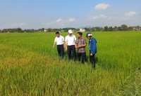 Phó Chủ tịch UBND huyện Nguyễn Văn Khánh kiểm tra sản xuất đầu năm