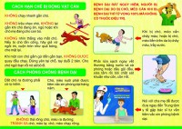 Tăng cường triển khai các biện pháp phòng, chống bệnh Dại trên địa bàn huyện