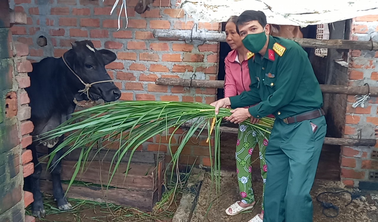 Ban Chỉ huy Quân sự huyện hỗ trợ nuôi bò xóa đói giảm nghèo