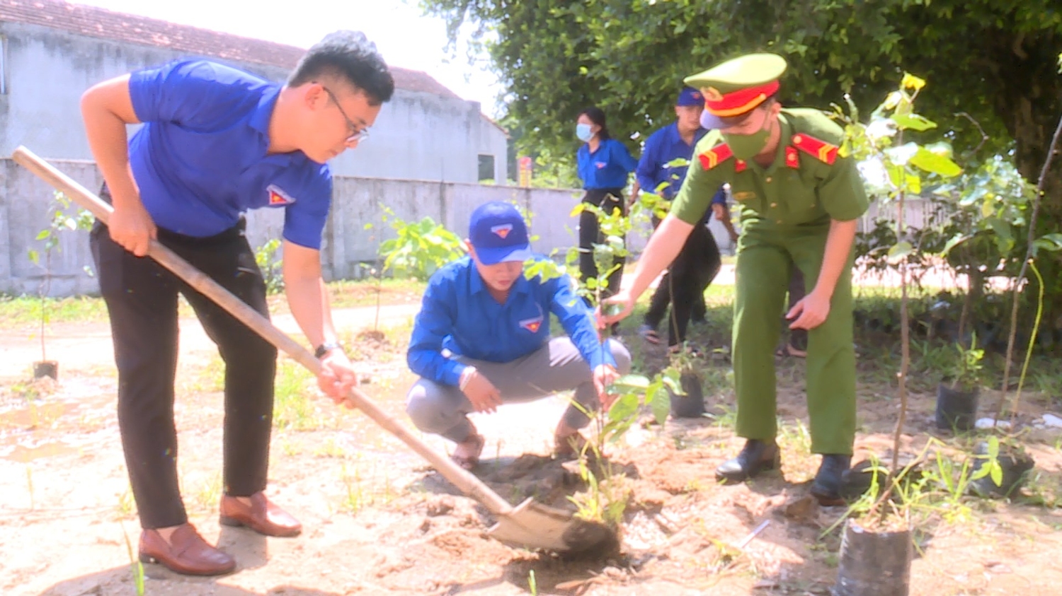 Trông cây xanh trong khuôn viên trường THCS Tây Vinh