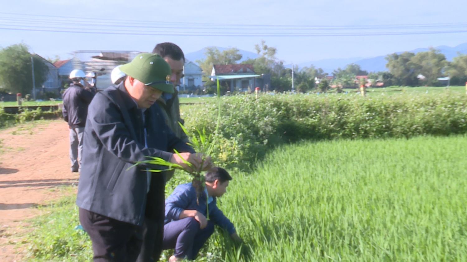 Đồng chí Phan Chí Hùng - Chủ tịch UBND huyện kiểm tra sản xuất vụ Đông Xuân