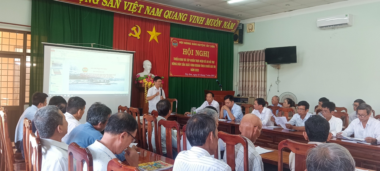 Phó Chủ tịch Thường trực Hội Nông dân tỉnh Đỗ Thiện Chế - Trưởng ban BQL điều hành Đề án Hỗ trợ nông dân SXKD chuỗi giá trị tỉnh, truyền đạt kinh nghiệm