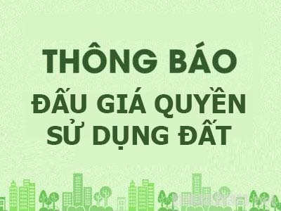 Thông báo đấu giá quyền sử dụng đất đối với 43 lô đất ở tại xã Tây Giang và xã Bình Thuận, huyện Tây Sơn