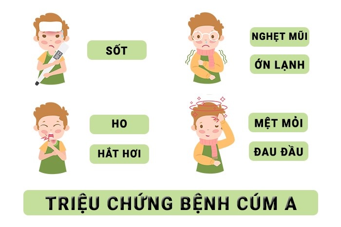 Tăng cường phòng, chống dịch bệnh Cúm A/H1pdm