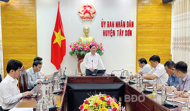 Tây Sơn cần phát huy tiềm năng, thế mạnh, đẩy mạnh thu hút đầu tư công nghiệp, dịch vụ, nâng cao giá trị sản xuất nông nghiệp